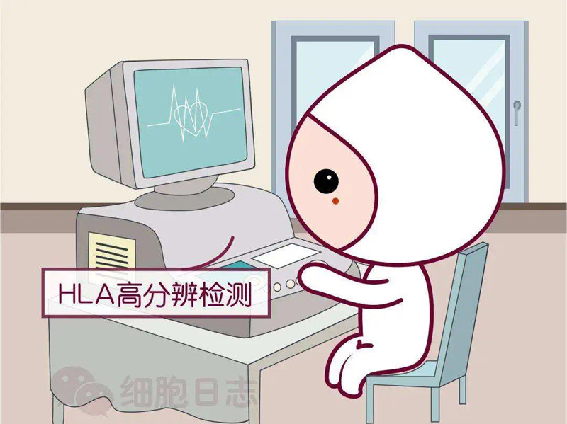 db1a87f1ce7cb914a2f82bd8c8d1312.jpg